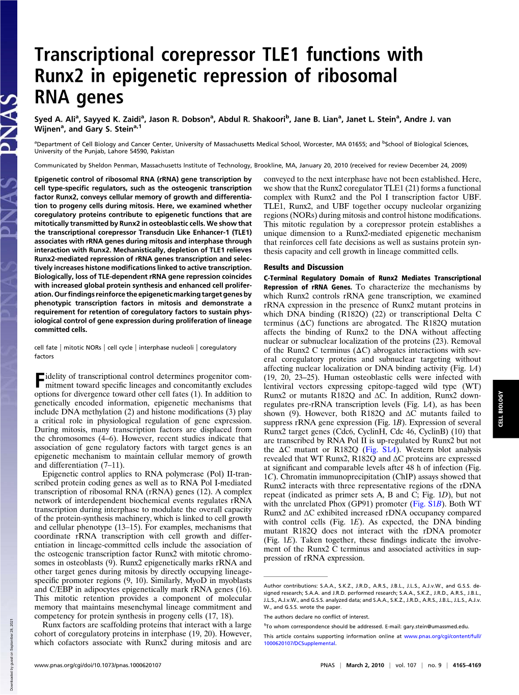 Transcriptional Corepressor TLE1 Functions with Runx2 in Epigenetic Repression of Ribosomal RNA Genes