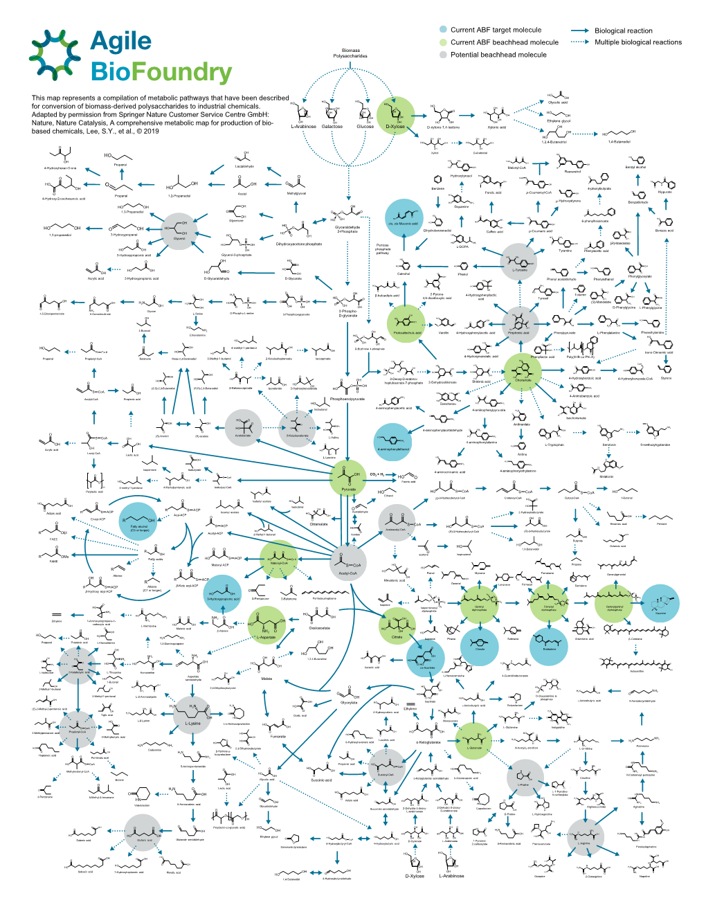 ABF Metabolic Map 15