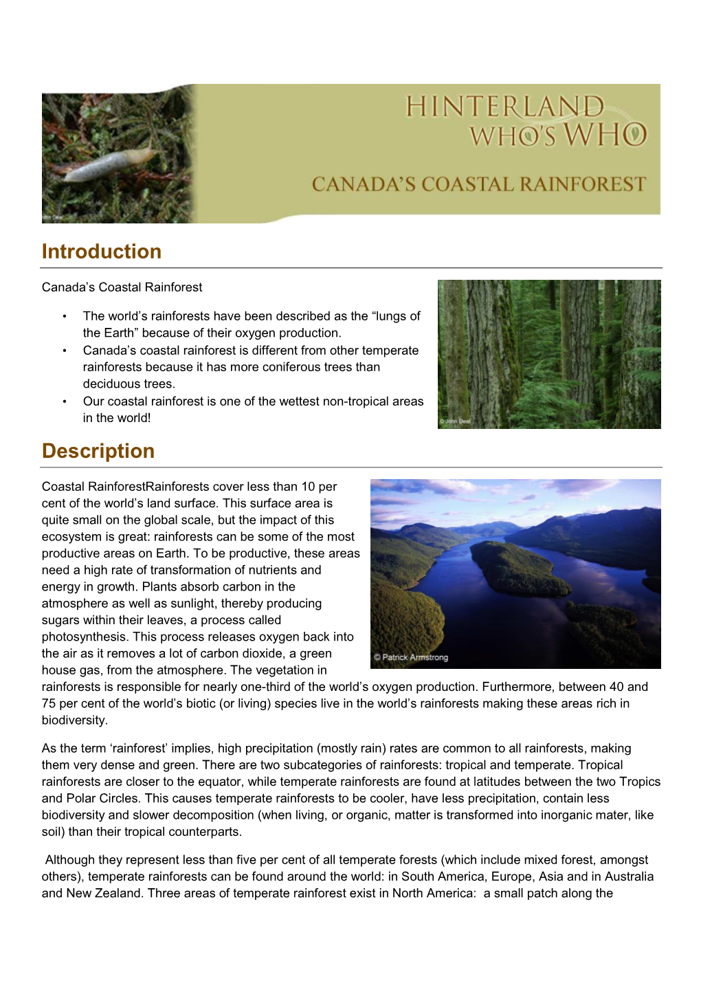 Canada's Coastal Rainforests