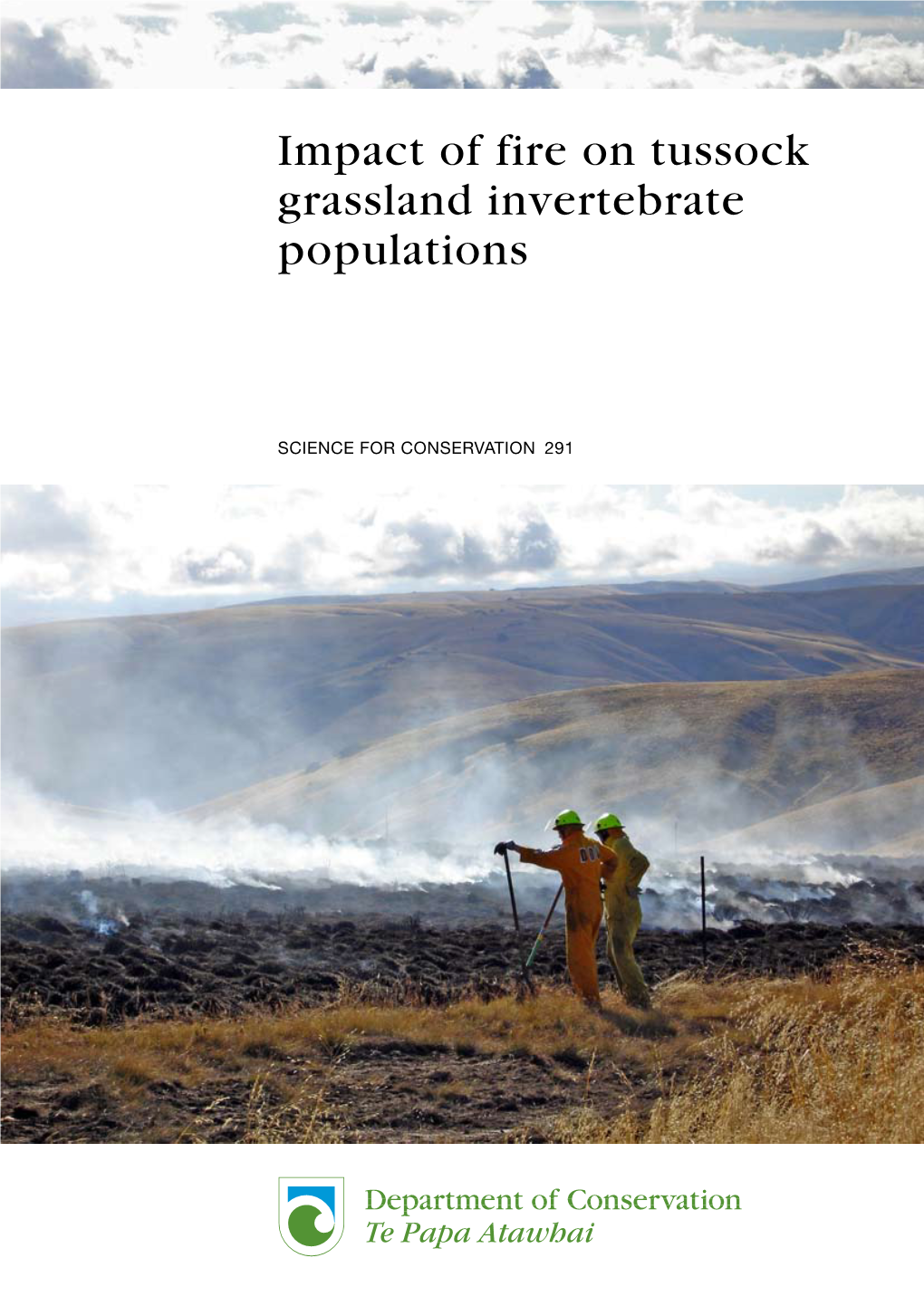 Impact of Fire on Tussock Grassland Invertebrate Populations