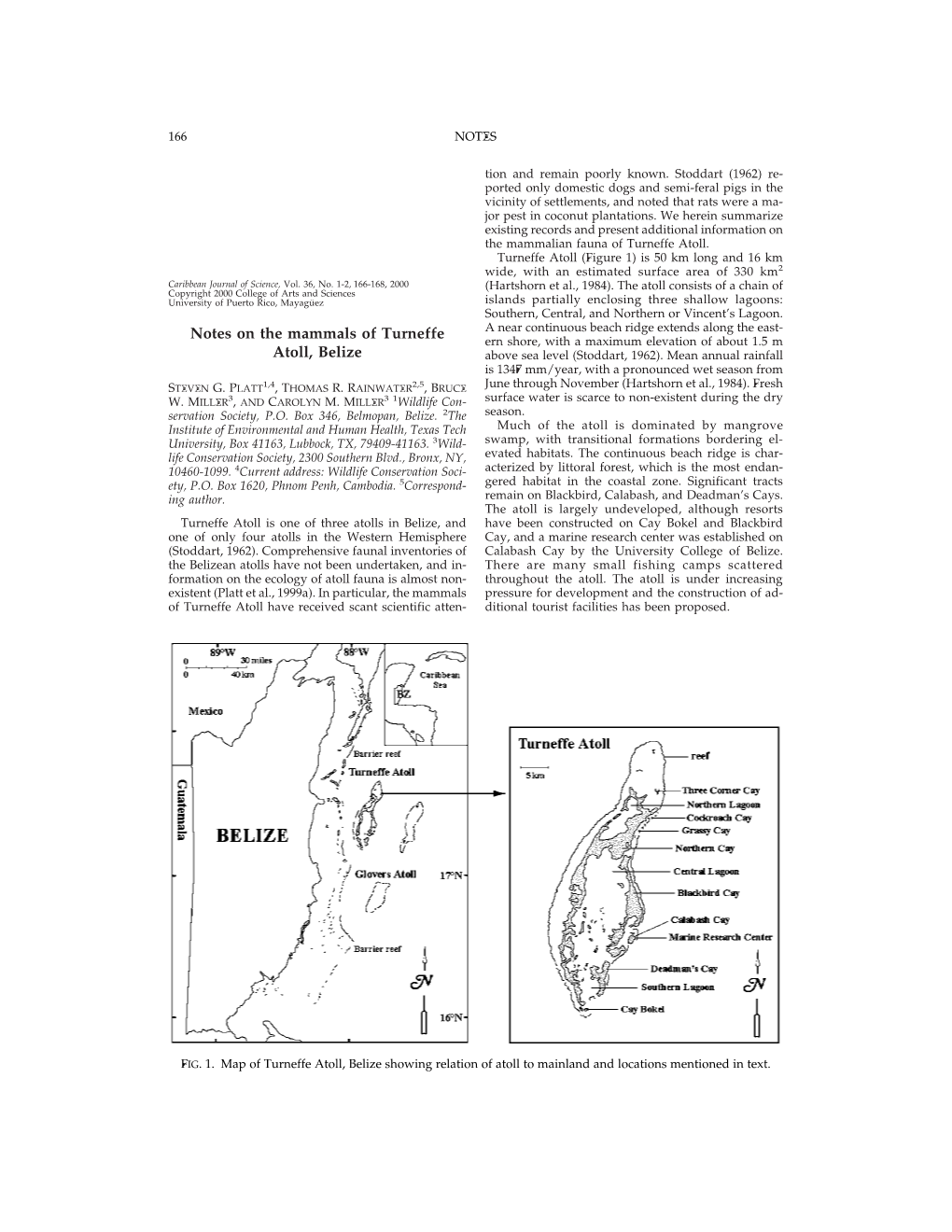 Notes on the Mammals of Turneffe Atoll, Belize