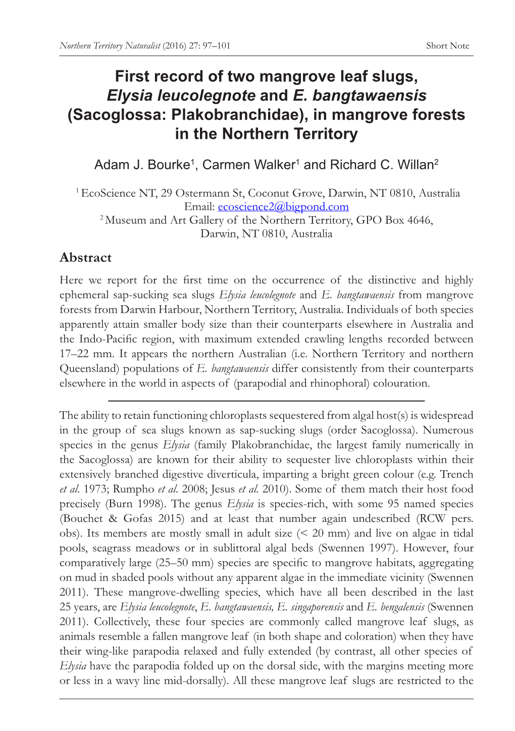 First Record of Two Mangrove Leaf Slugs, Elysia Leucolegnote and E