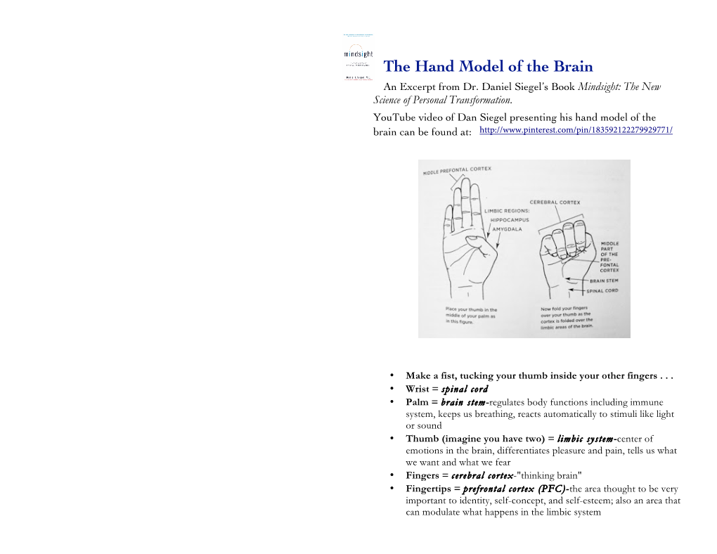 The Hand Model of the Brain an Excerpt from Dr