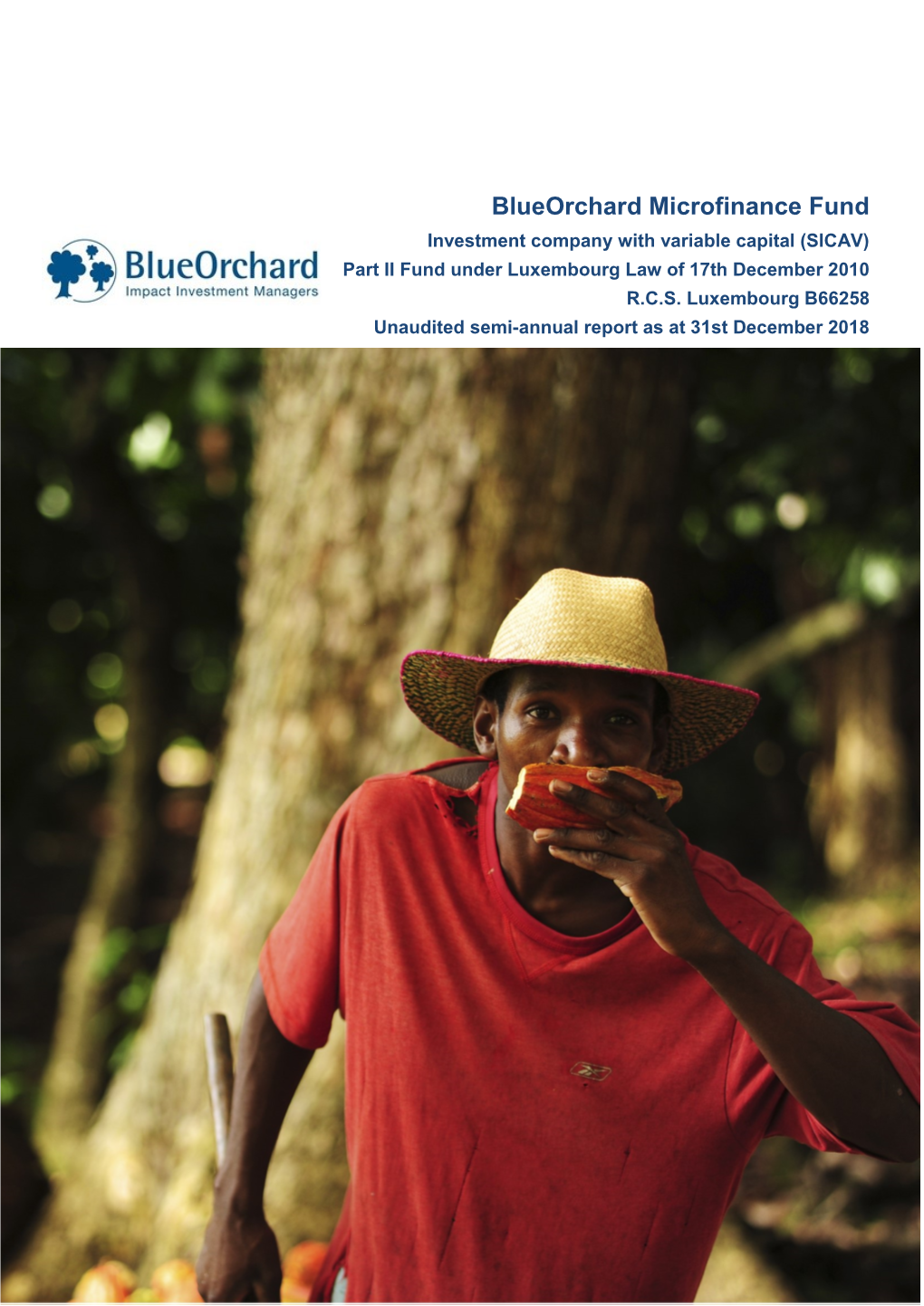 Blueorchard Microfinance Fund