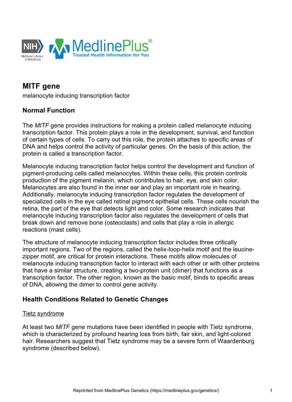 MITF Gene Melanocyte Inducing Transcription Factor