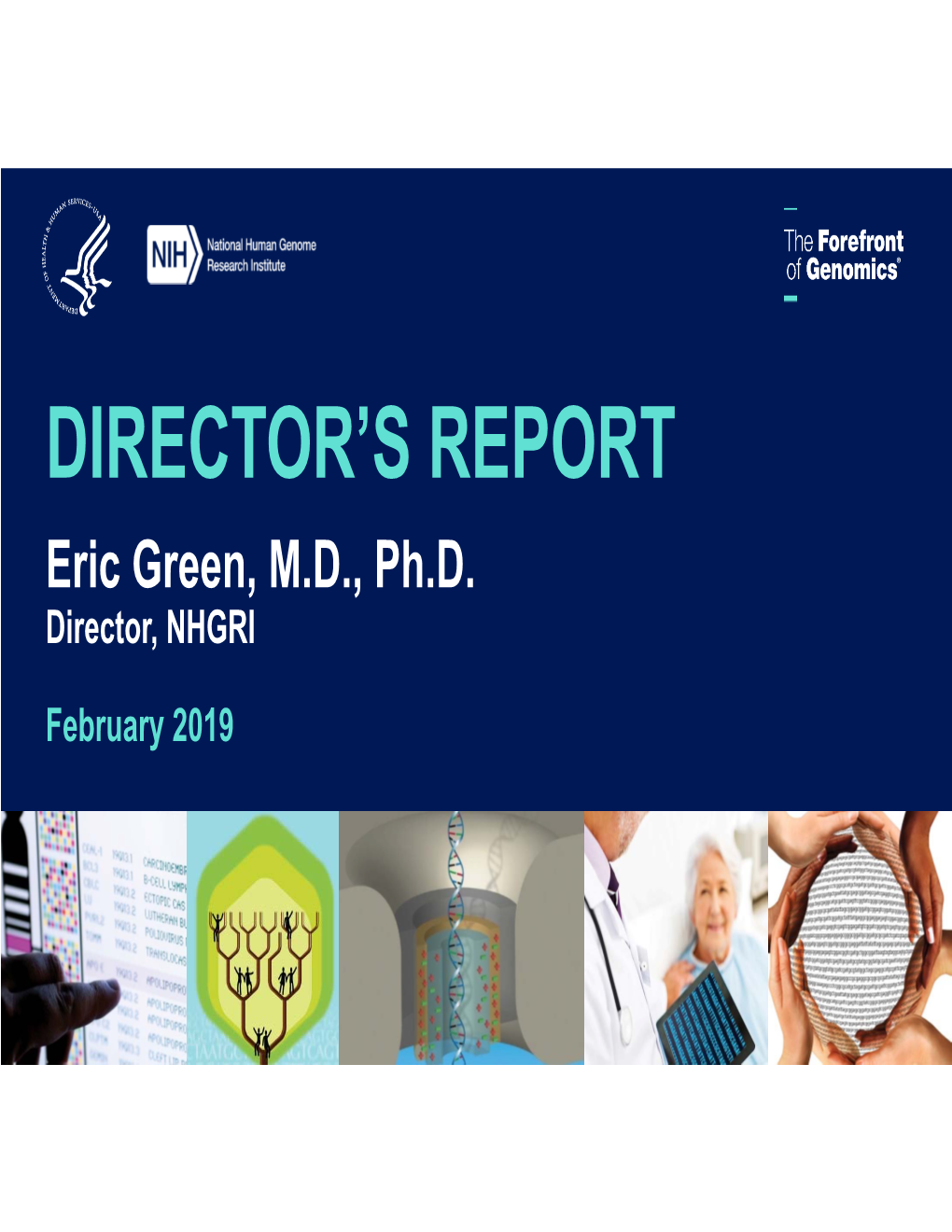 Director's Report