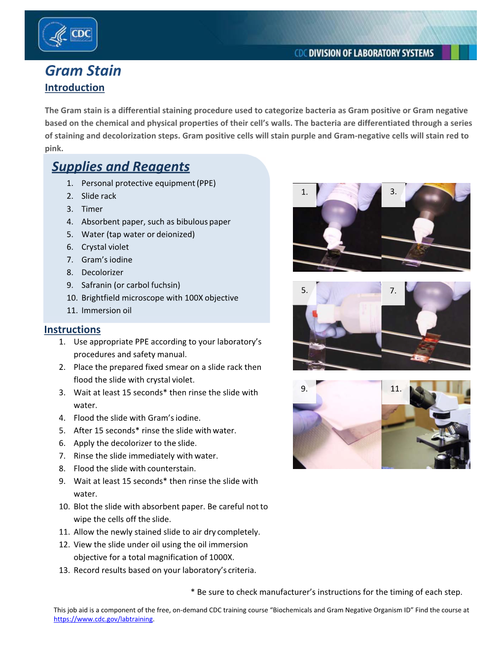 Gram Stain Introduction