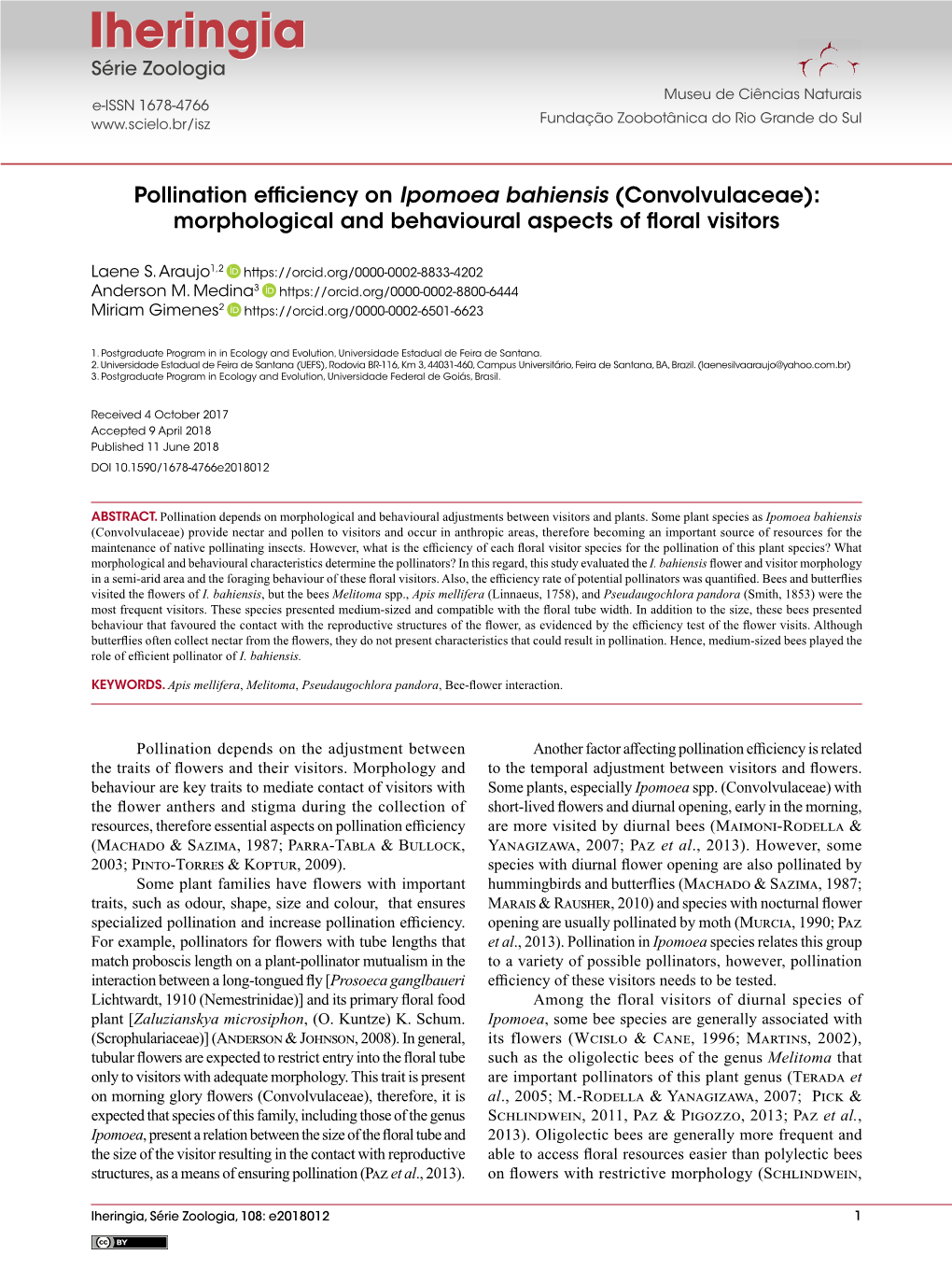 Pollination Efficiency on Ipomoea Bahiensis (Convolvulaceae)