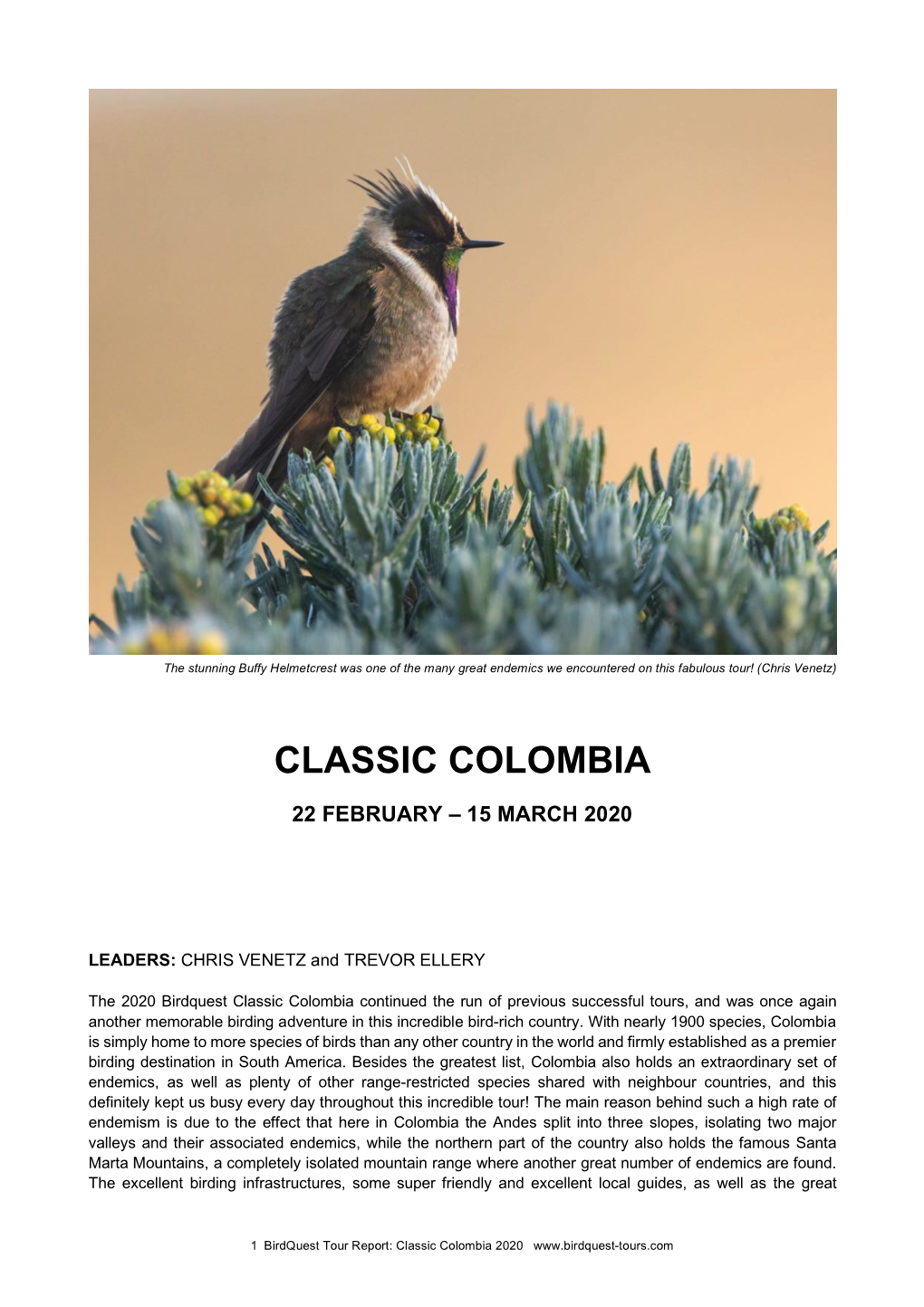 Classic Colombia Tour Report 2020