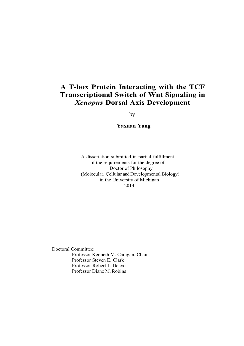 A T-Box Protein Interacting with the TCF Transcriptional Switch of Wnt Signaling in Xenopus Dorsal Axis Development By