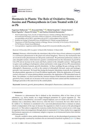 Hormesis in Plants: the Role of Oxidative Stress, Auxins and Photosynthesis in Corn Treated with Cd Or Pb