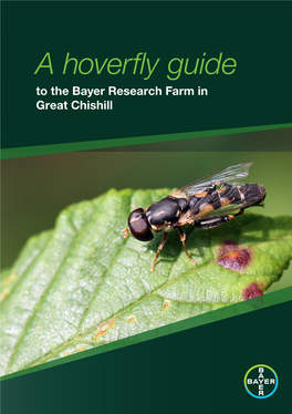 A Hoverfly Guide to the Bayer Research Farm in Great Chishill