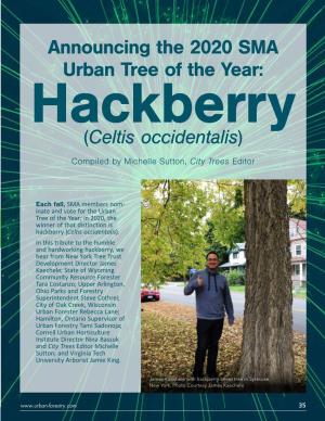 (Celtis Occidentalis) Announcing the 2020 SMA Urban Tree of the Year