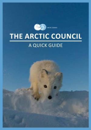 Quick Guide to the Arctic Council 2020