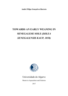 Towards an Early Weaning in Senegalese Sole (Solea Senegalensis Kaup, 1858)