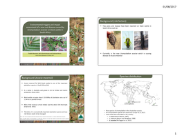(Acacia Mearnsii) Background (Risk Factors) Species Distribution
