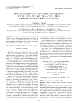 First Occurrence of a Lingulide (Brachiopoda: Lingulidae) at Piauí Formation (Upper Carboniferous), Parnaíba Basin, Brazil