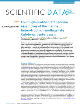 Four High-Quality Draft Genome Assemblies of the Marine
