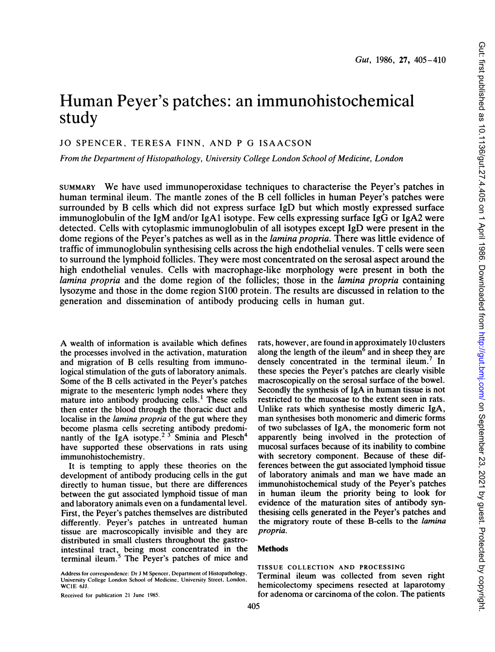 Human Peyer's Patches: an Immunohistochemical Study