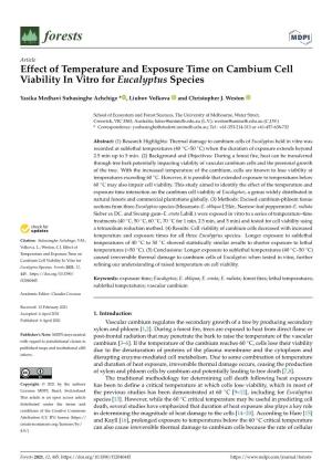 Effect of Temperature and Exposure Time on Cambium Cell Viability in Vitro for Eucalyptus Species