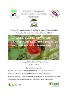 Les Mouches (Dipteres : Tephritidae) Et Autres Insectes Ravageurs Des Légumes-Fruits