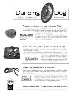 Dancing Dog Daycare for Your Pets Newsletter No