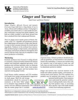 CCD Ginger and Turmeric