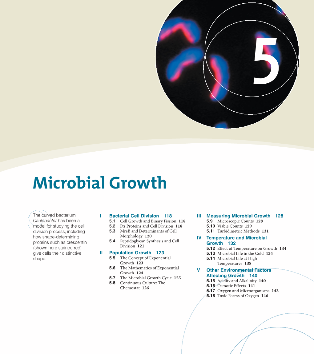 Microbial Growth