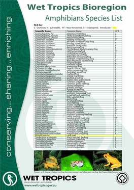A List of Frog Species for the Wet Tropics Bioregion