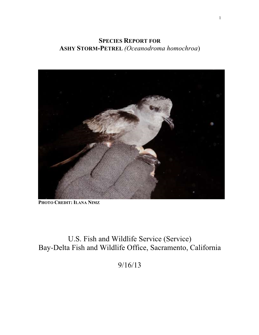 SPECIES REPORT for ASHY STORM-PETREL (Oceanodroma Homochroa)