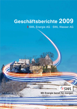 Geschäftsberichte 2009
