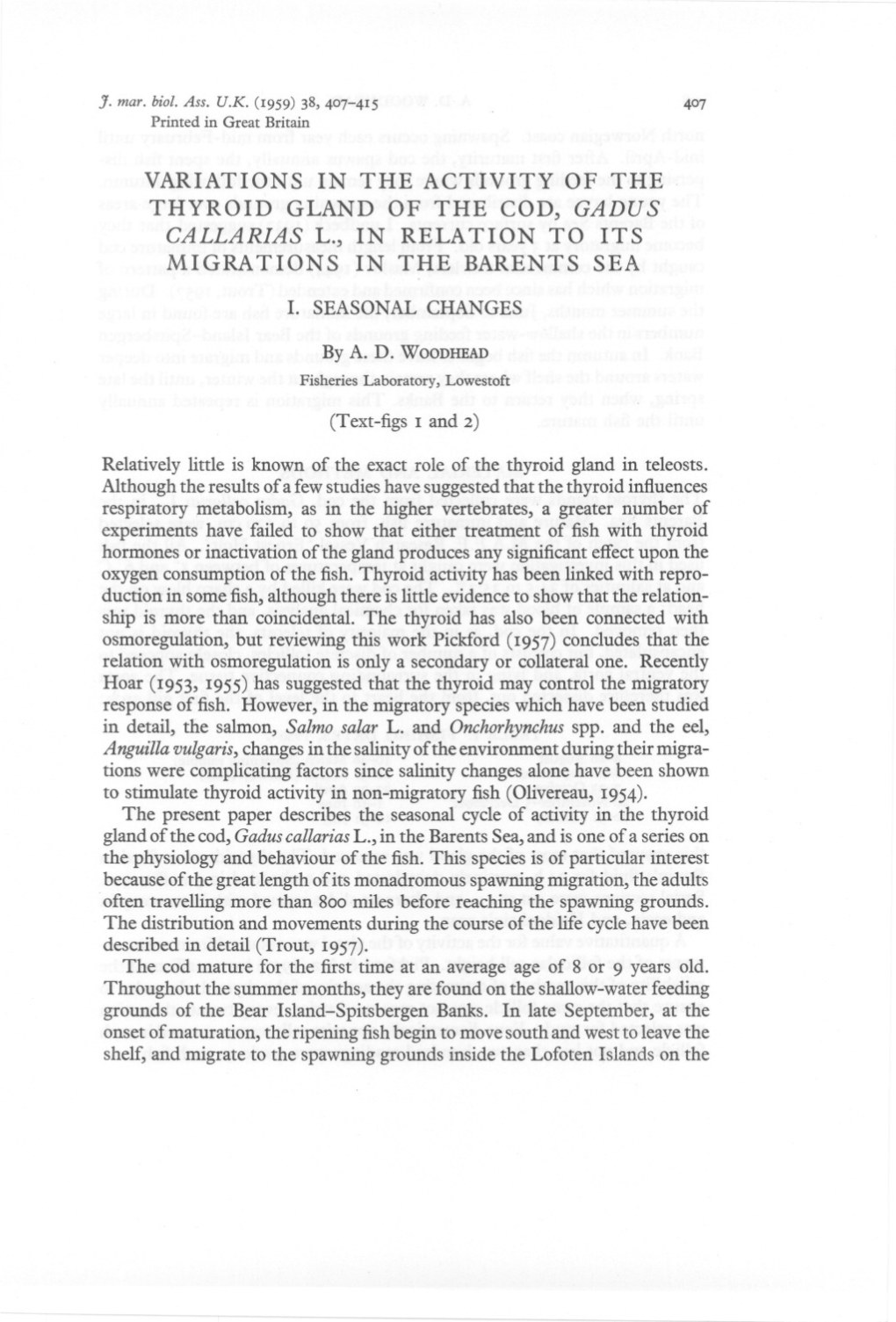 Variations in the Activity of the Thyroid Gland of the Cod, Gadus Callarias L., in Relation to Its Migrations in the Barents Sea