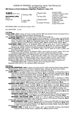 HORSE in TRAINING, Consigned by James Tate Racing Ltd. the Property of Darley Will Stand at Park Paddocks, Highflyer Paddock J, Box 174