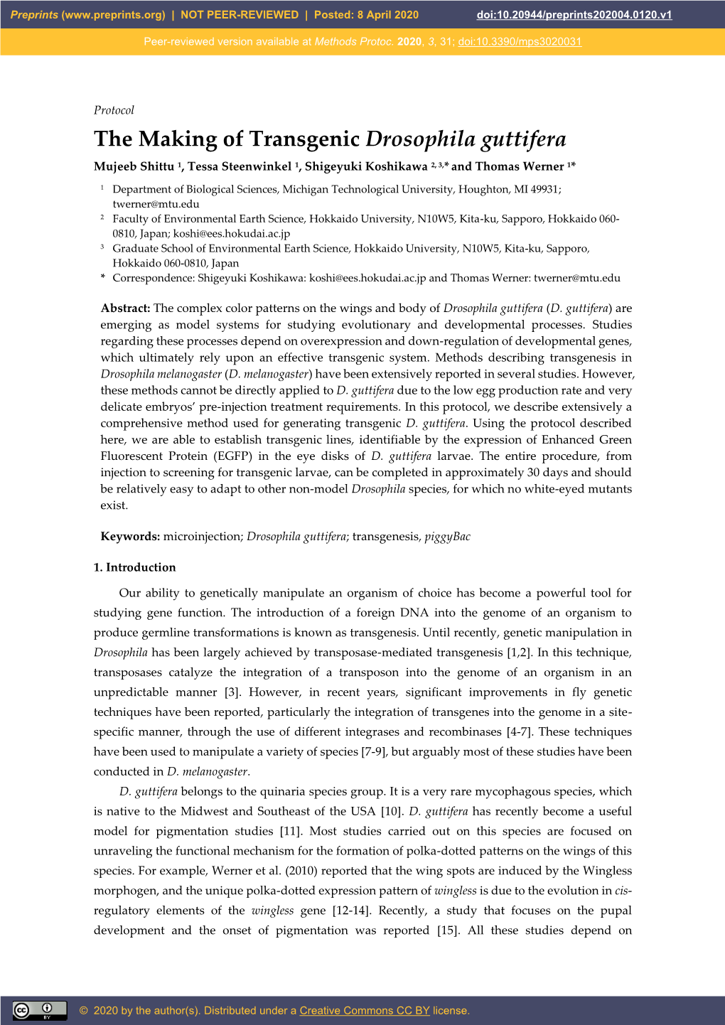 The Making of Transgenic Drosophila Guttifera Mujeeb Shittu 1, Tessa Steenwinkel 1, Shigeyuki Koshikawa 2, 3,* and Thomas Werner 1*
