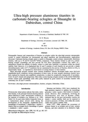 Ultra-High Pressure Aluminous Titanites in Carbonate-Bearing Eclogites at Shuanghe in Dabieshan, Central China