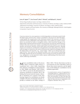 Memory Consolidation