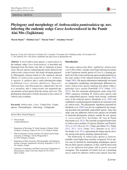 Phylogeny and Morphology of Anthracoidea Pamiroalaica Sp. Nov
