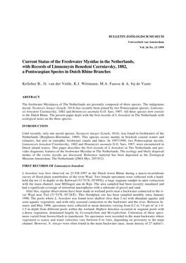 Current Status of the Freshwater Mysidae in the Netherlands, with Records of Limnomysis Benedeni Czerniavsky, 1882, a Pontocaspian Species in Dutch Rhine Branches