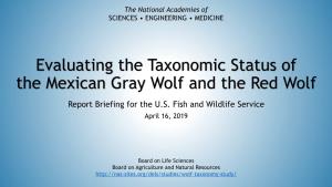 Evaluating the Taxonomic Status of the Mexican Gray Wolf and the Red Wolf