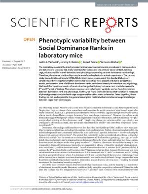 Phenotypic Variability Between Social Dominance Ranks in Laboratory Mice Received: 14 August 2017 Justin A