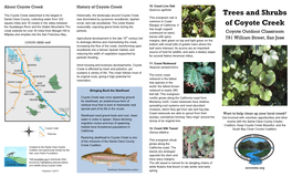 Trees and Shrubs of Coyote Creek
