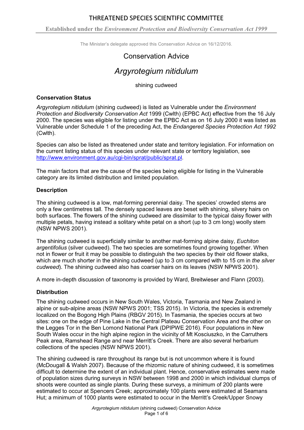 Conservation Advice Argyrotegium Nitidulum Shining Cudweed