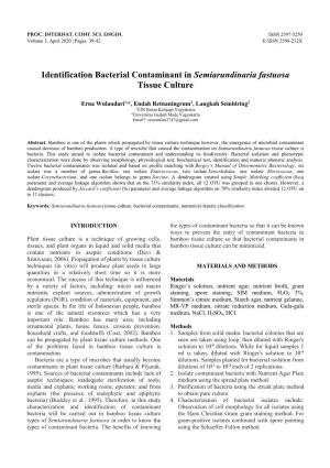 Identification Bacterial Contaminant in Semiarundinaria Fastuosa Tissue Culture