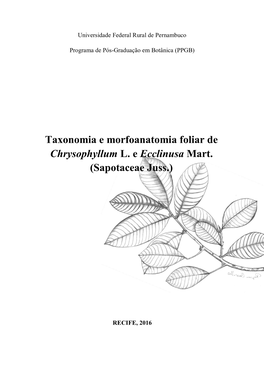 Taxonomia E Morfoanatomia Foliar De Chrysophyllum L. E Ecclinusa Mart