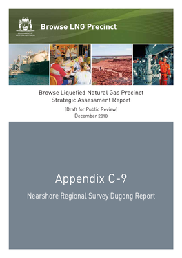 Nearshore Regional Survey Dugong Report WEL No