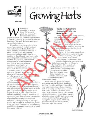 Growing Herbs ANR-1164