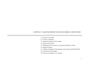 Capítulo 5. Carácter Proyectual De San Miguel Chapultepec