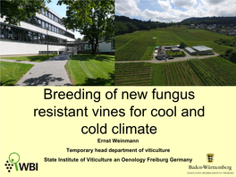 Breeding of New Fungus-Resistant Vines for Cool and Cold Climate