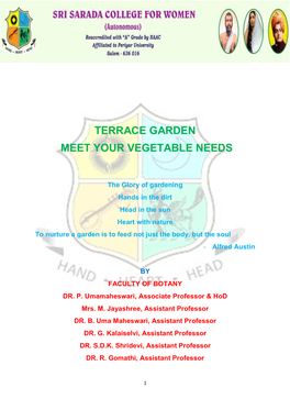 Terrace Garden Meet Your Vegetable Needs