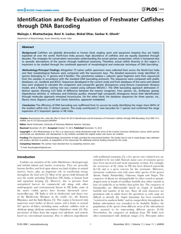 Identification and Re-Evaluation of Freshwater Catfishes Through DNA Barcoding